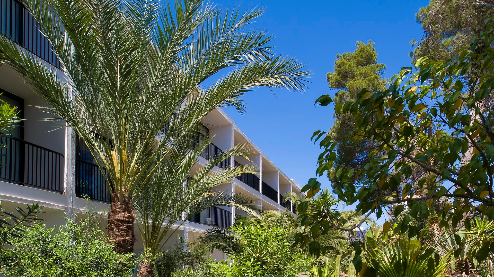 Hotel Osiris Ibiza San Antonio
